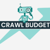 crawl-budget-yonetimi